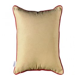 Декоративный чехол Известные леди-2 45х45