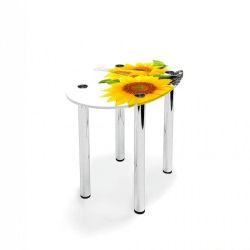 Овальный журнальный стол Sunflower 100х67