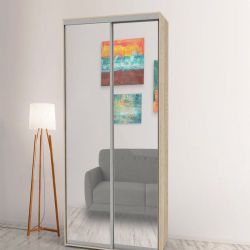 Шкаф-купе Стандарт ШК-6 150х240х60 с зеркальными фасадами