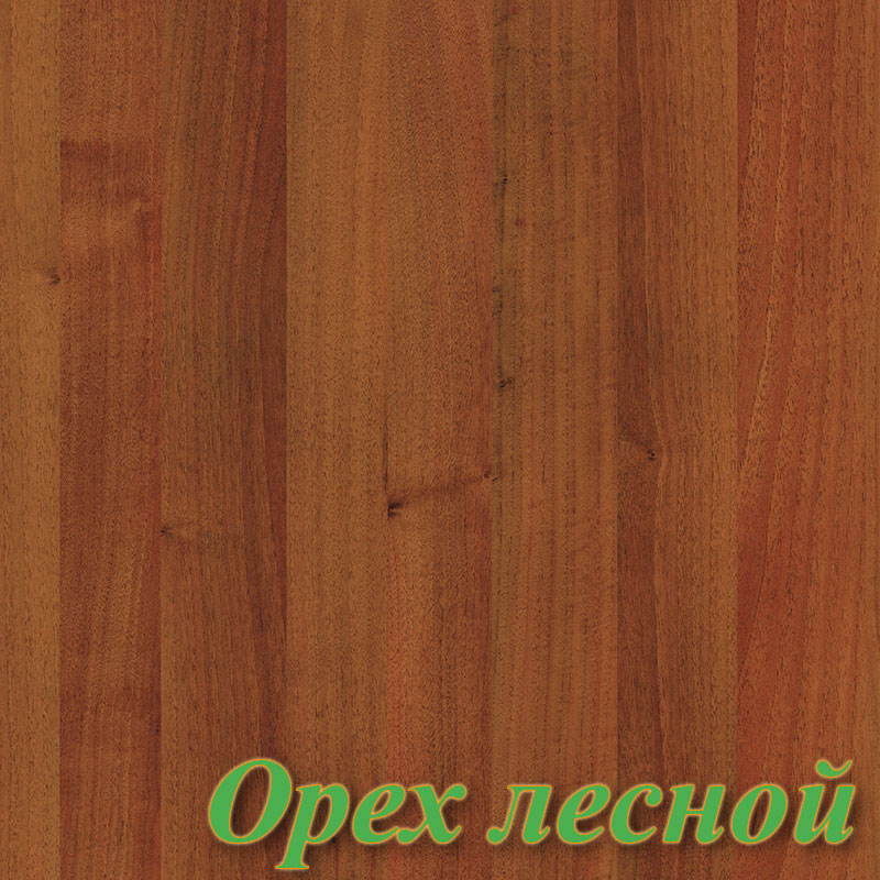 Орех лесной 