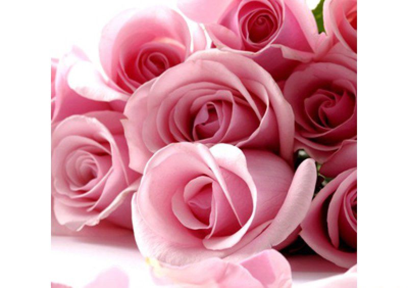 Журнальный стол бочка Pink Roses 70х53