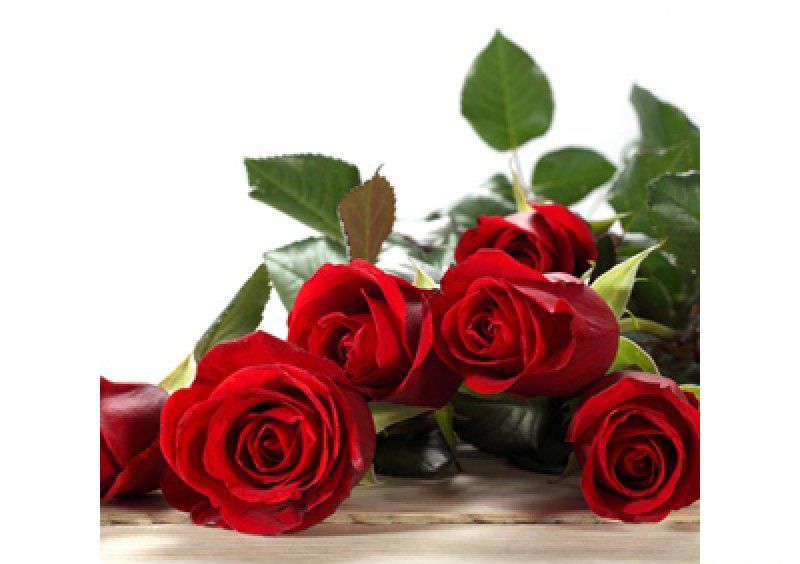 Журнальный стол бочка Red Roses 70х53