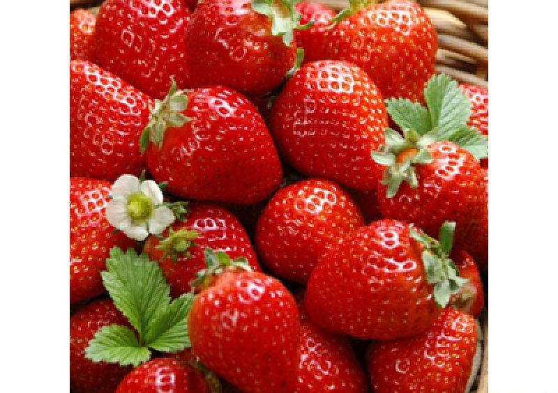 Журнальный стол бочка Strawberry 70х53