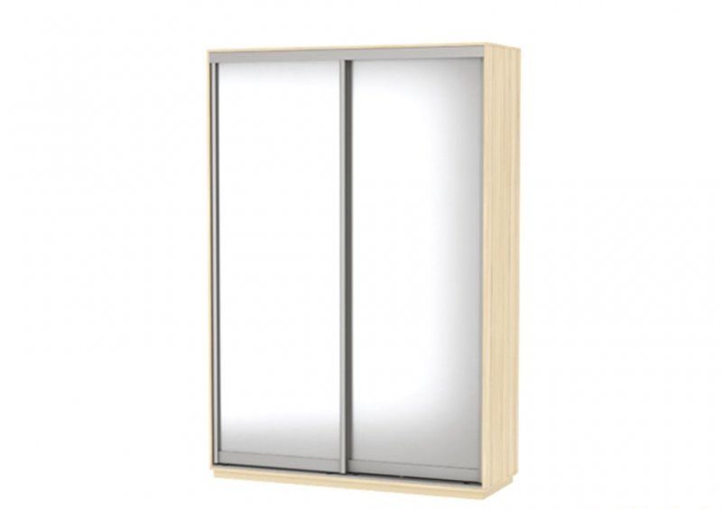 Шкаф-купе Бюджет БШК-8 170х240х58
