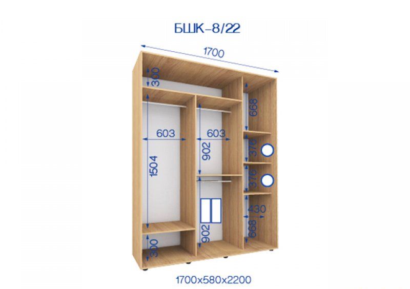 Шкаф-купе Бюджет БШК-8 170х220х58