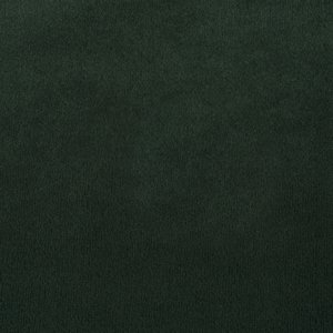
19-Amazon-Green-Shine
