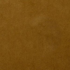 
24-Golden-Lion-Shine
