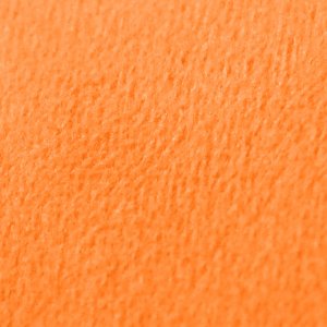 
24-baby-carrot
