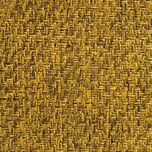 
mustard-41
