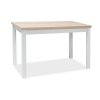 Стол ADAM 120*70 Дуб сонома/Белый мат 