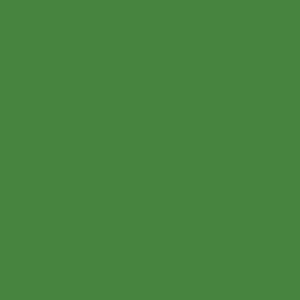 
RAL 6018
