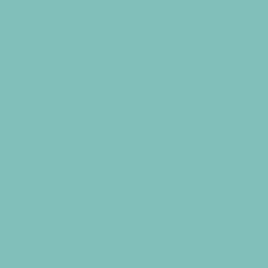 
RAL 6027
