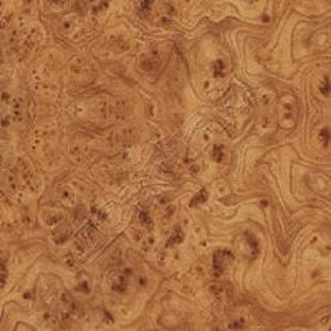 
корень розы
