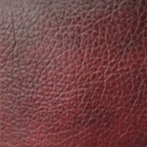 
Мадрас Бордо
+ 99.00грн. 