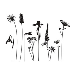 
Wildflower
+ 356.00грн. 
