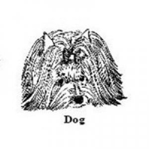 
Dog
+ 356.00грн. 