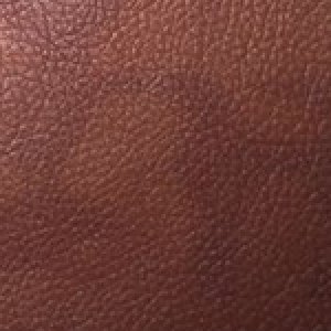 
Неаполь-77 пятнистый
+ 21.00грн. 