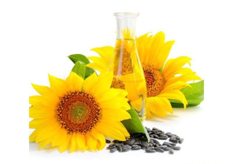Квадратный журнальный стол с полкой Sunflower 40х40
