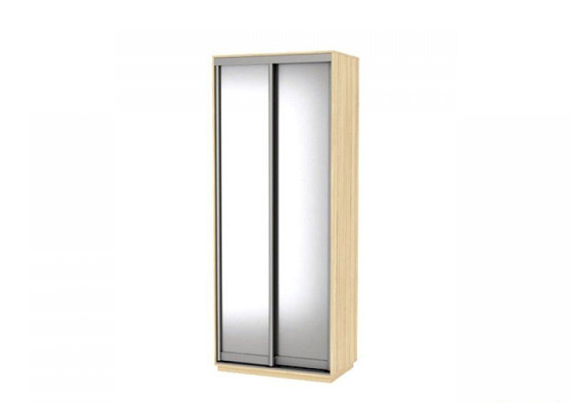 Шкаф-купе Бюджет БШК-16 100х220х43